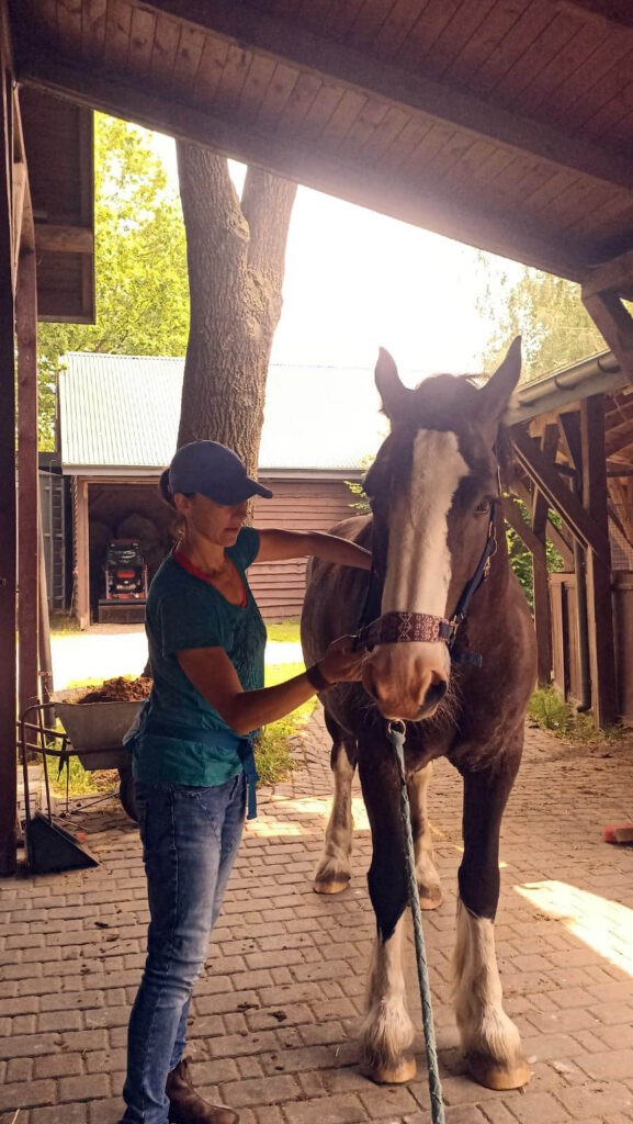 masaże koni Ola Bojanowska