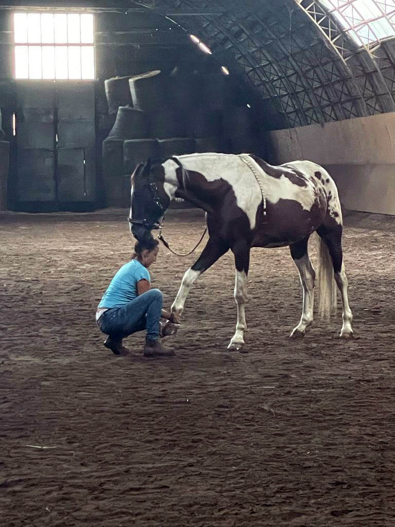 metoda Mastersona - terapia koni