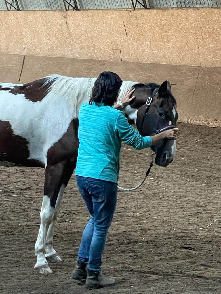 Aleksandra Bojanowska masaż koni